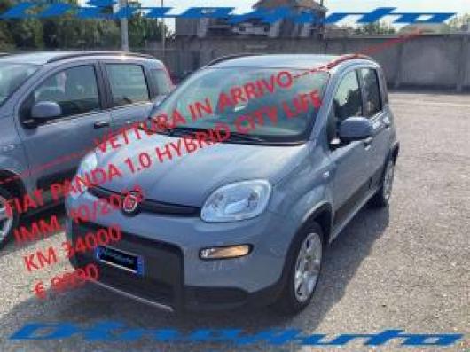 usato FIAT Panda