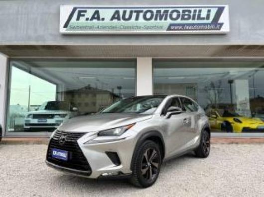 usato LEXUS NX 300
