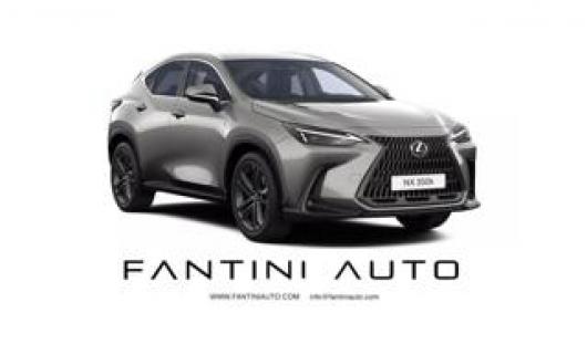 usato LEXUS NX 300h