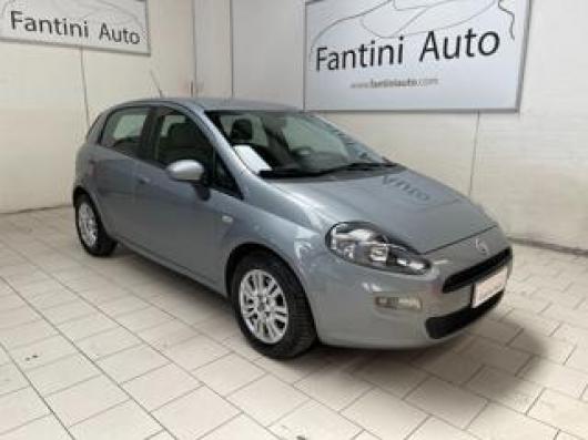usato FIAT Punto