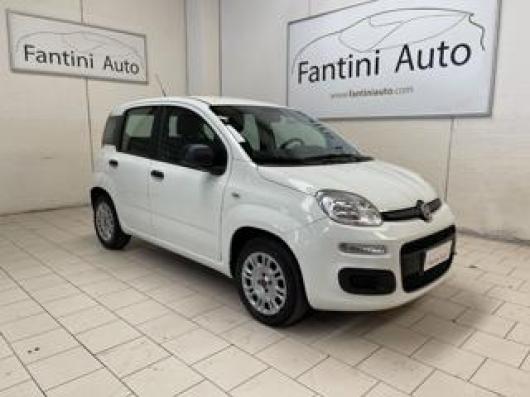 usato FIAT Panda