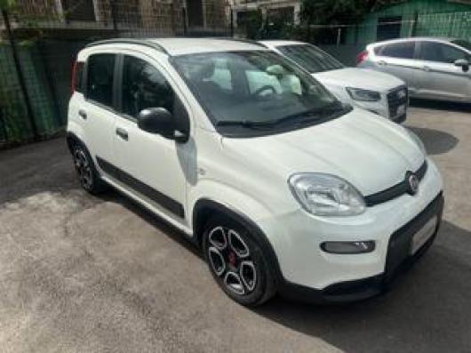 usato FIAT Panda