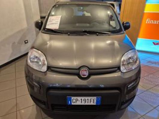 usato FIAT Panda