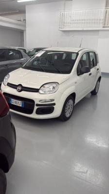 usato FIAT Panda