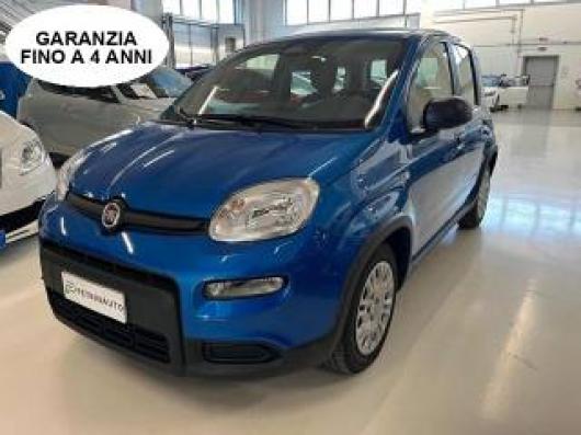 usato FIAT Panda
