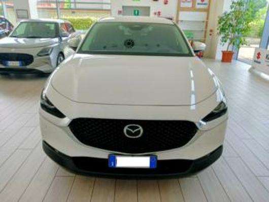 CX 30