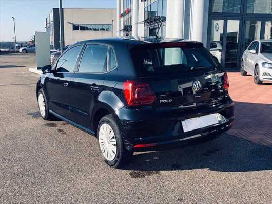 Polo V
