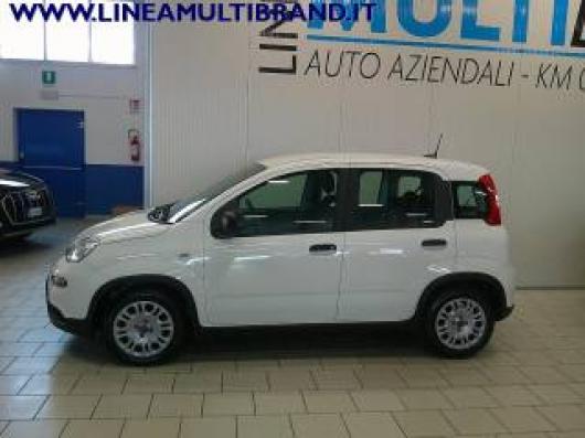 usato FIAT Panda