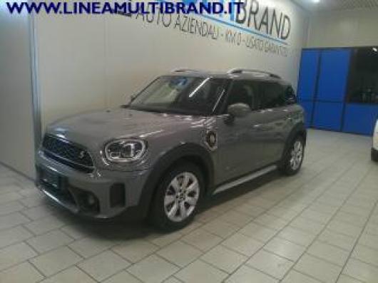 usato MINI Countryman