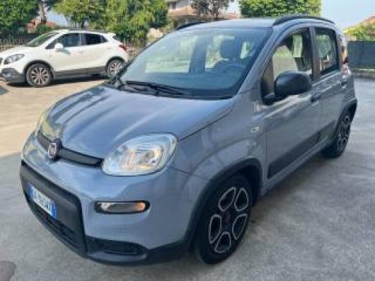 usato FIAT Panda