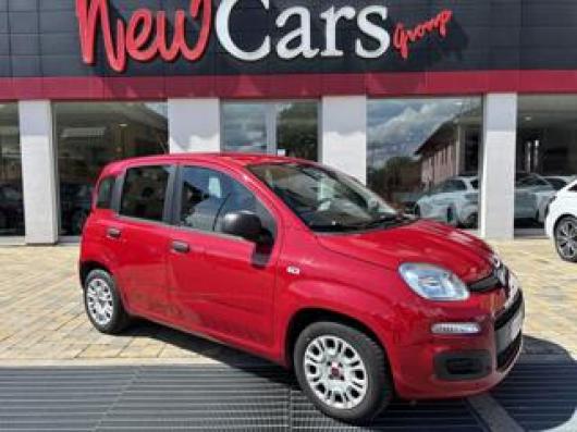 usato FIAT Panda