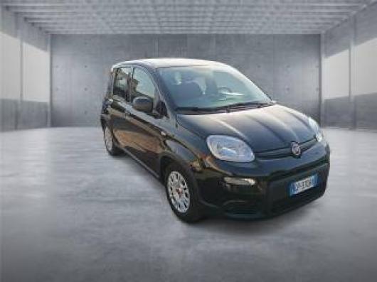 usato FIAT Panda