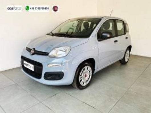 usato FIAT Panda