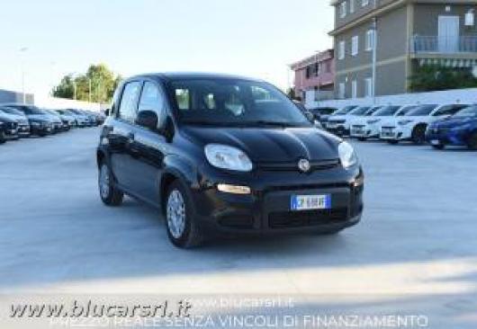 usato FIAT Panda