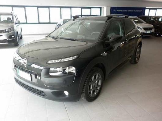 C4 Cactus