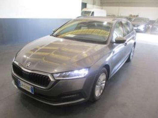 usato SKODA Octavia