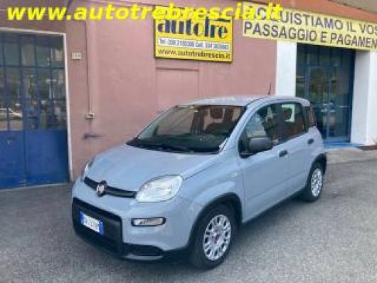usato FIAT Panda