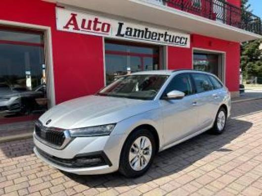 usato SKODA Octavia