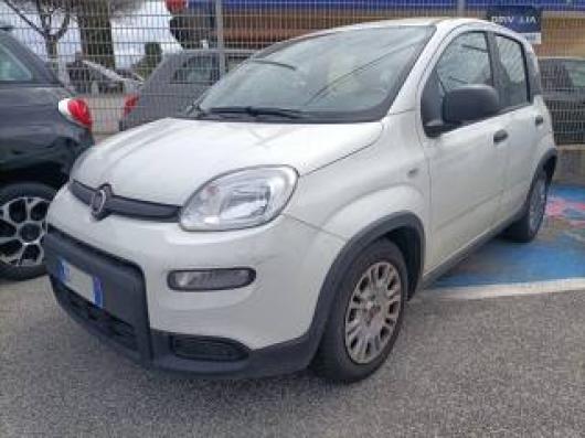 usato FIAT Panda