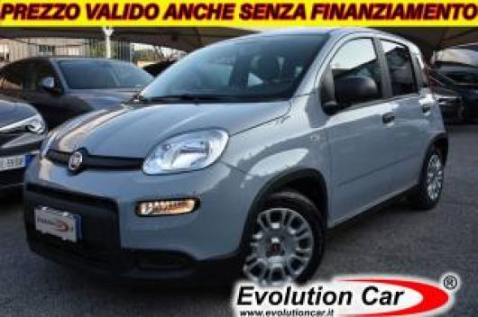 usato FIAT Panda