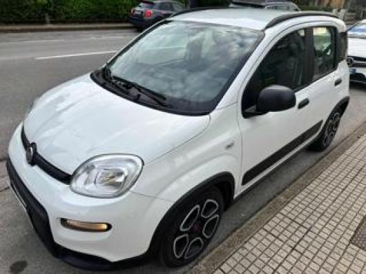 usato FIAT Panda