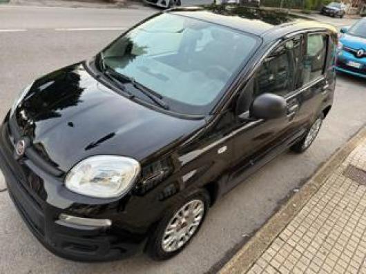 usato FIAT Panda