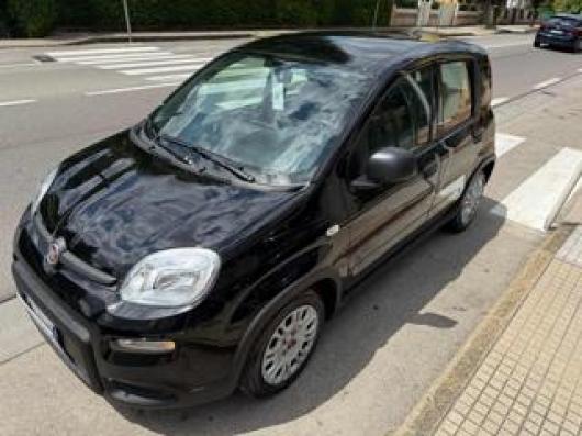 usato FIAT Panda