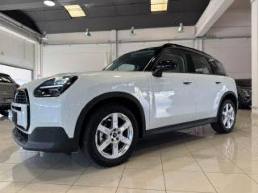 usato MINI Countryman