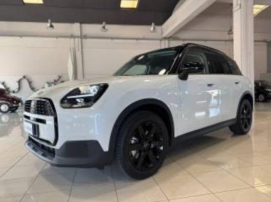 usato MINI Countryman
