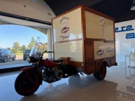 ERCOLE CELLA COIBENTATA PER TRASPORTO GELATO UNICA 