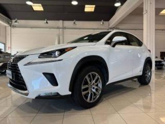 usato LEXUS NX 300