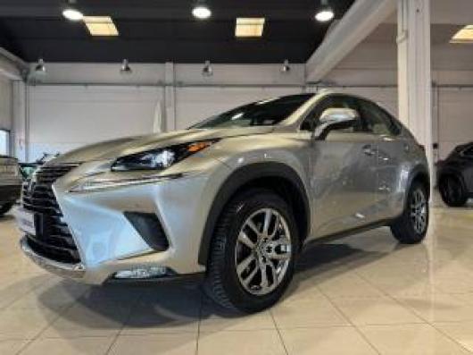 usato LEXUS NX 300