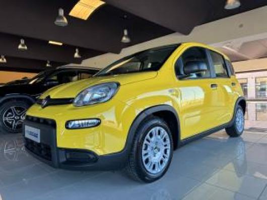 usato FIAT Panda