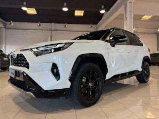 usato TOYOTA RAV 4