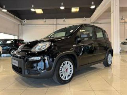 usato FIAT Panda