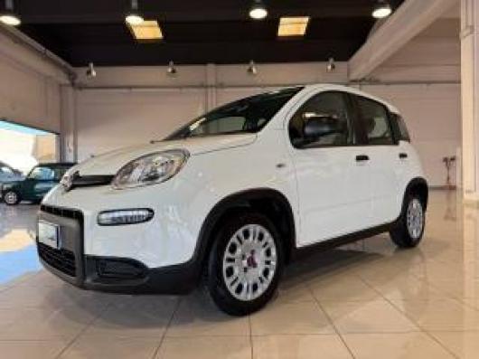 usato FIAT Panda