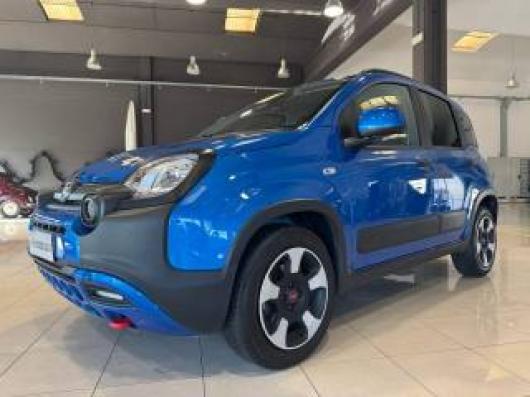 usato FIAT Panda