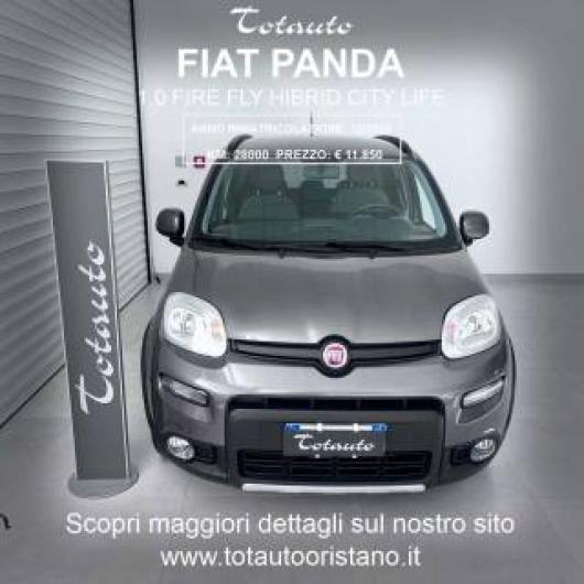 usato FIAT Panda