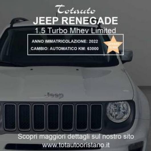 usato JEEP Renegade