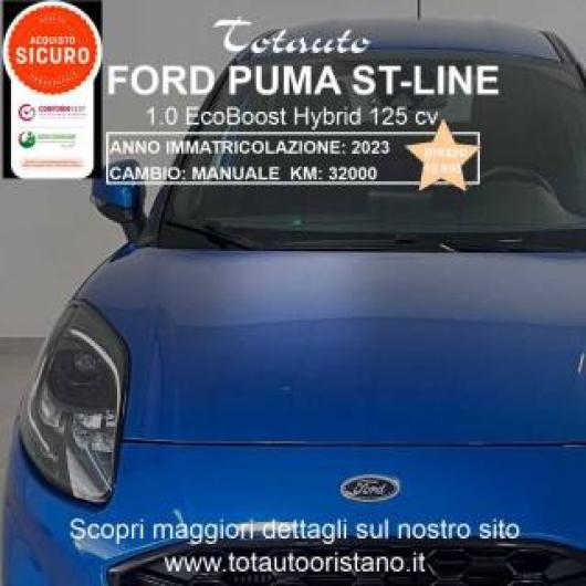 usato FORD Puma