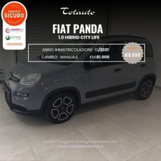 usato FIAT Panda