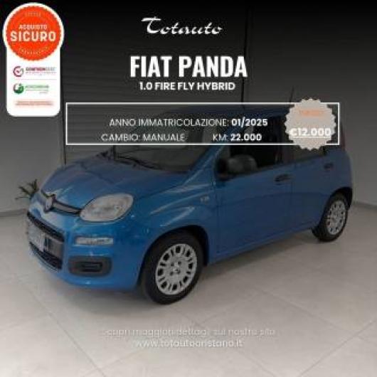 usato FIAT Panda