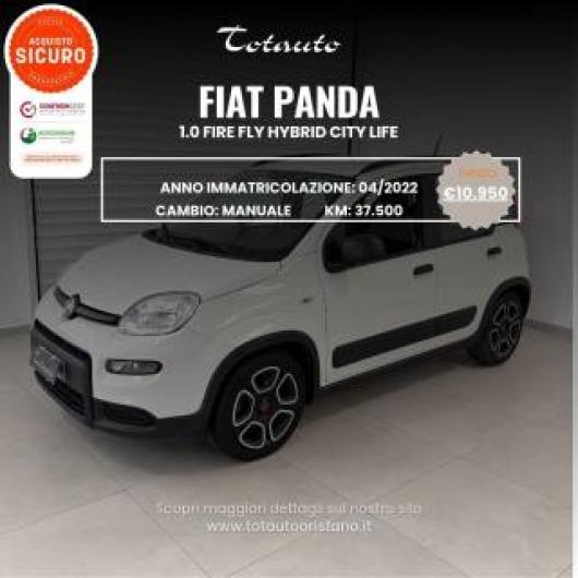 usato FIAT Panda