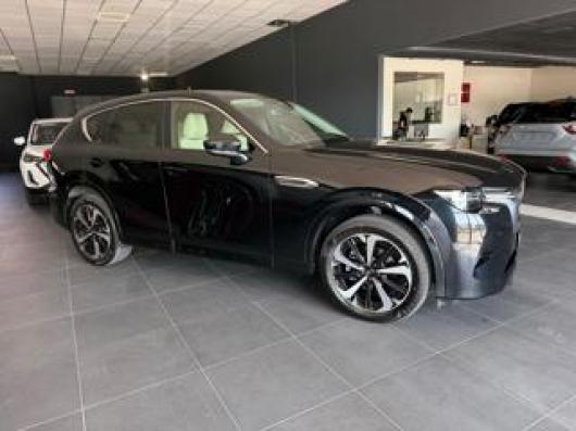 CX 60