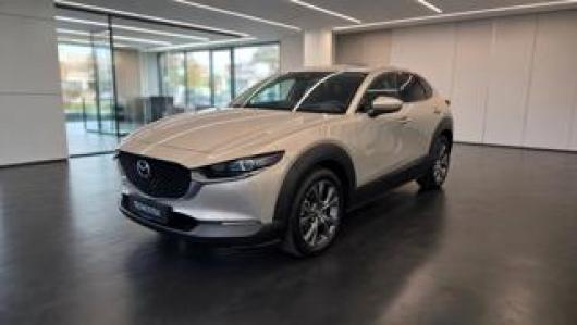 CX 30