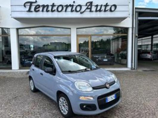 usato FIAT Panda