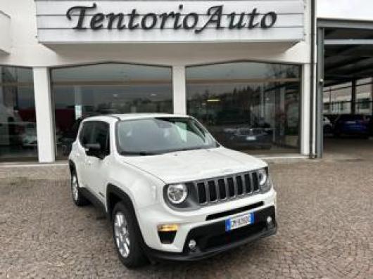 usato JEEP Renegade