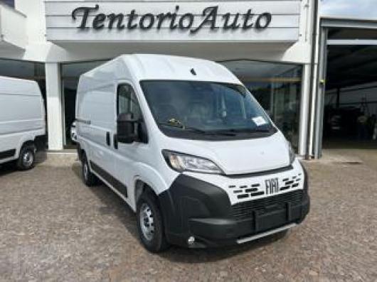 usato FIAT Ducato