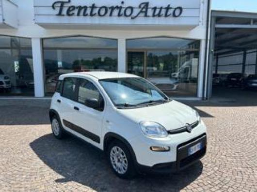 usato FIAT Panda