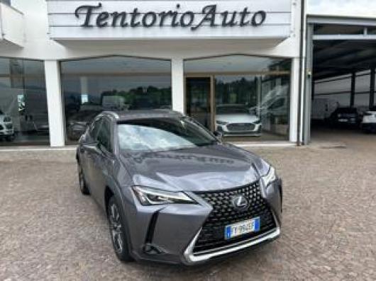 usato LEXUS UX 250h